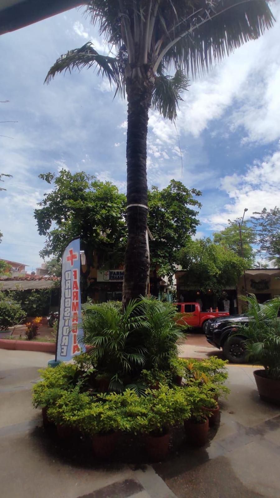 Hotelito 73 San Francisco  Ngoại thất bức ảnh
